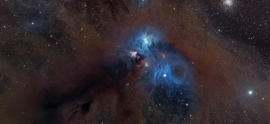 Cosmic baboon rampages through deep space in gorgeous new nebula photo