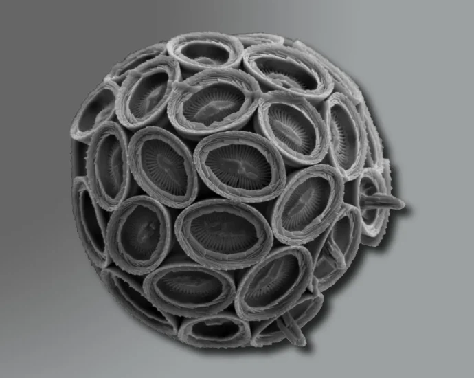 they’re-smaller-than-dust,-but-crucial-for-earth’s-climate