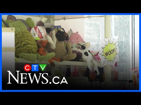 charity-providing-thanksgiving-hampers-for-pets