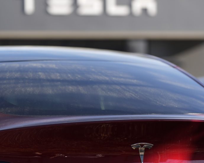 Tesla unveils cheaper versions of 2 of its electric vehicle models as sales slump