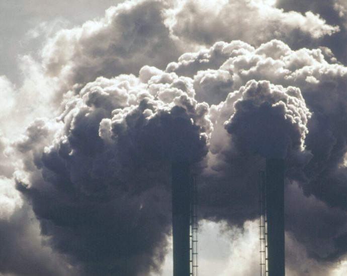 epa’s-‘comeback’-a-sham-fueled-by-the-traitor’s-authoritarian-power-grab,-critics-charge