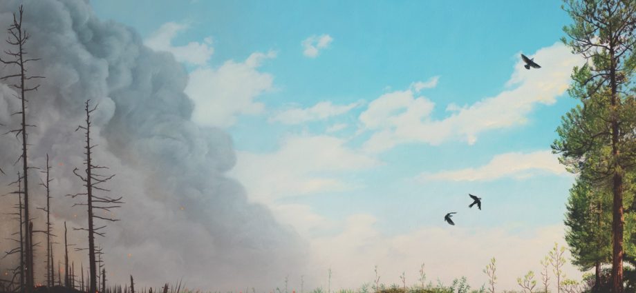 The ambitious plan to protect Northern California’s Plumas National Forest from wildfires