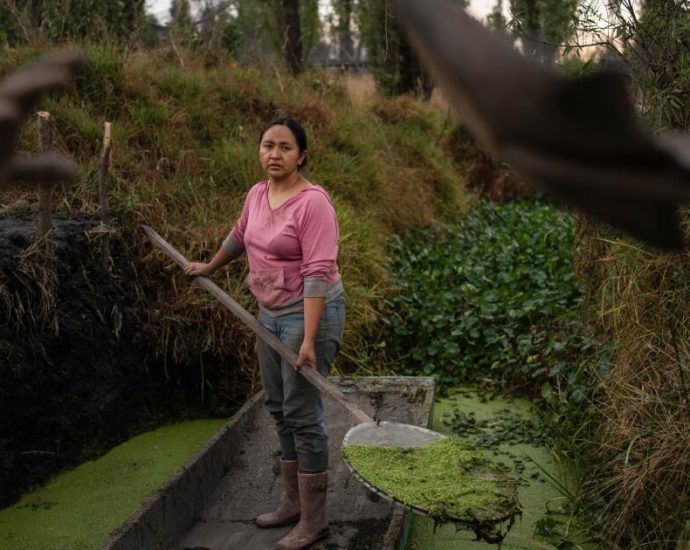 women-in-mexico-step-up-to-protect-ancient-aztec-farms-and-save-a-vanishing-ecosystem