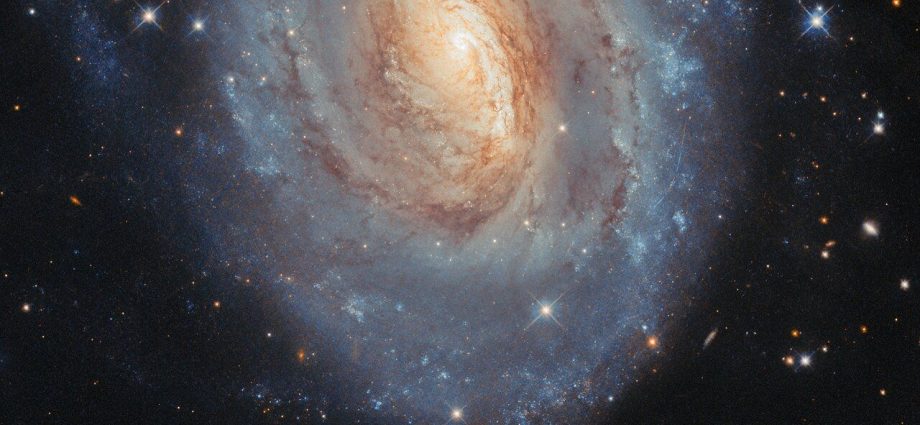 Hubble went supernova hunting — and found something unexpected: Space photo of the week