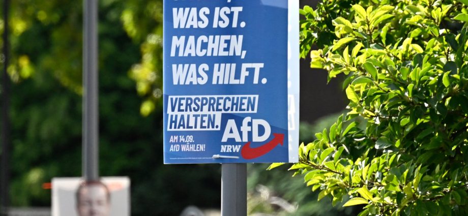 far-right-afd-party-may-win-first-german-city-mayor-post-in-run-off-vote
