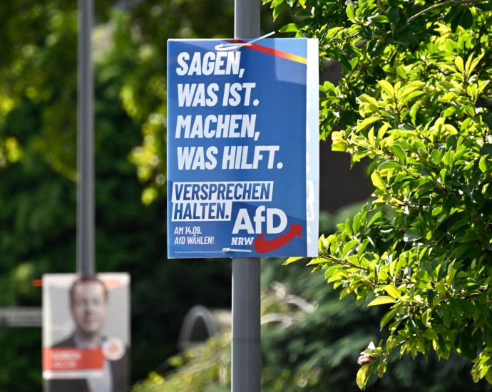 far-right-afd-party-fails-to-secure-first-german-city-mayor-post-in-run-off
