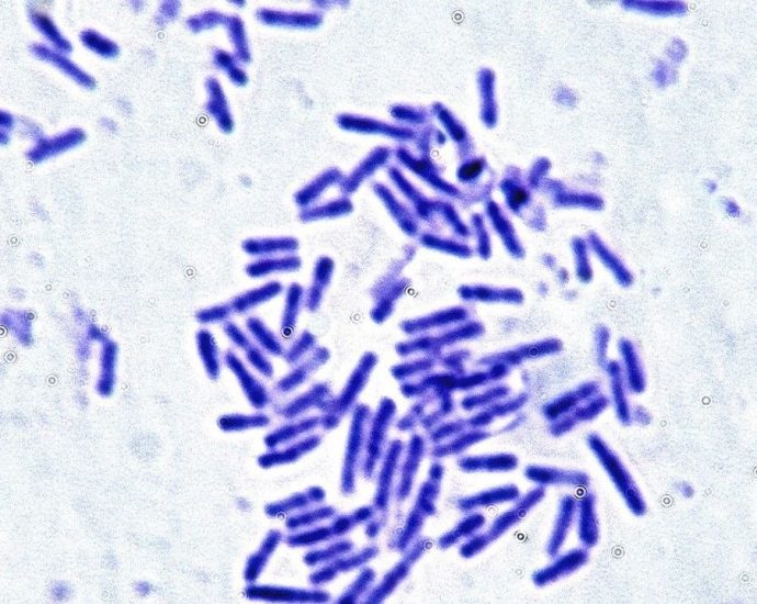 Microbes essential for human health can survive the stress of spaceflight. That’s great news for astronauts