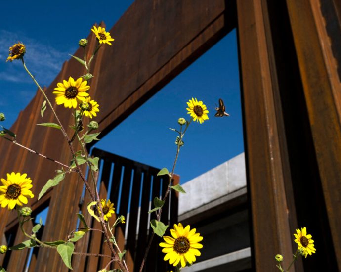 the-us-mexico-border-wall-may-pose-perils-to-pollinators