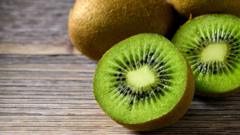 eat-kiwi-fruit-to-relieve-constipation,-says-guidance