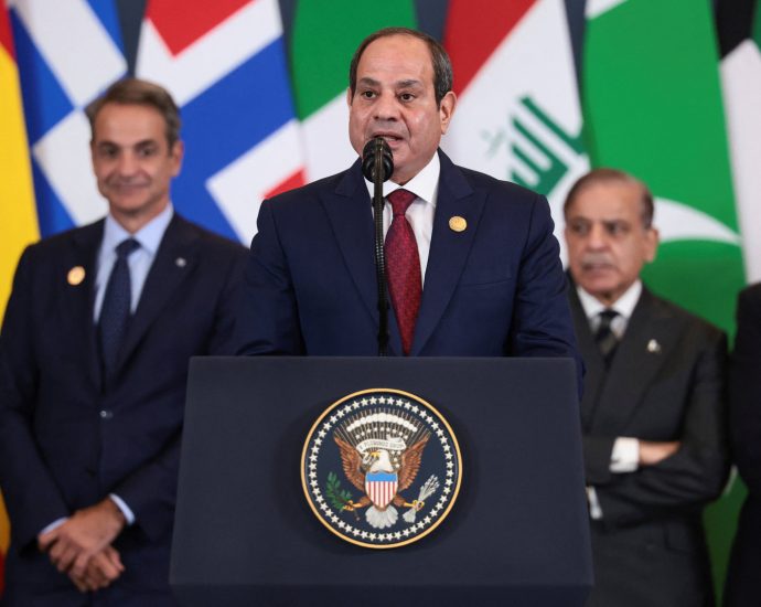 egypt:-two-state-solution-is-‘the-only-way-to-achieve-peace’