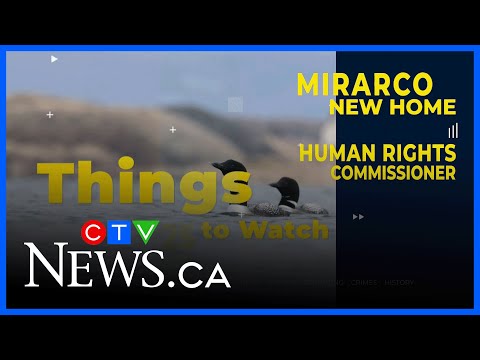 a-look-at-the-week-ahead-in-the-northeast