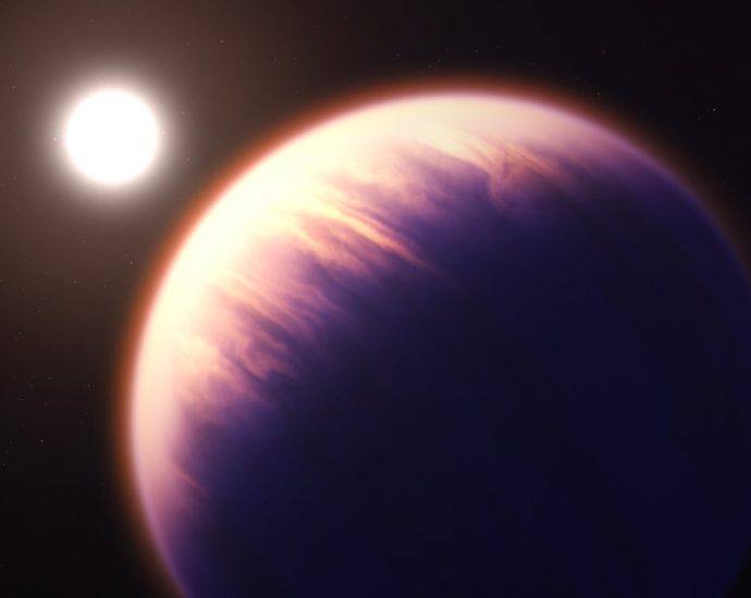 Has JWST Finally Found an Exomoon?