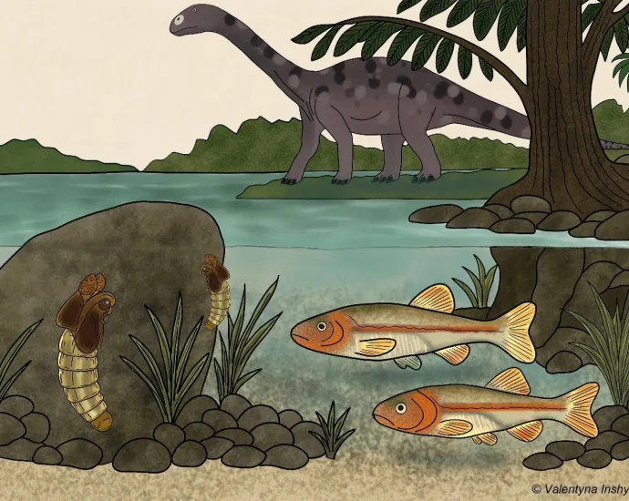 a-151-million-year-old-fly-just-changed-what-we-know-about-evolution