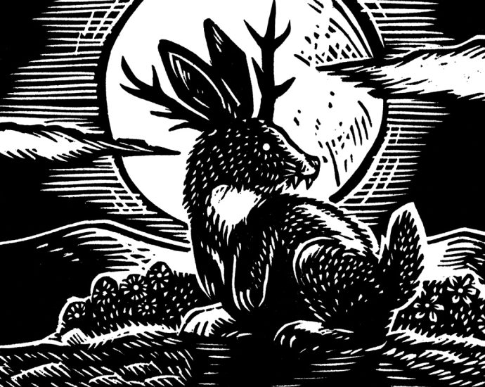 loopy-lagomorphs,-warning-off-wolves,-the-best-of-buddys-and-diminutive-dinosaurs