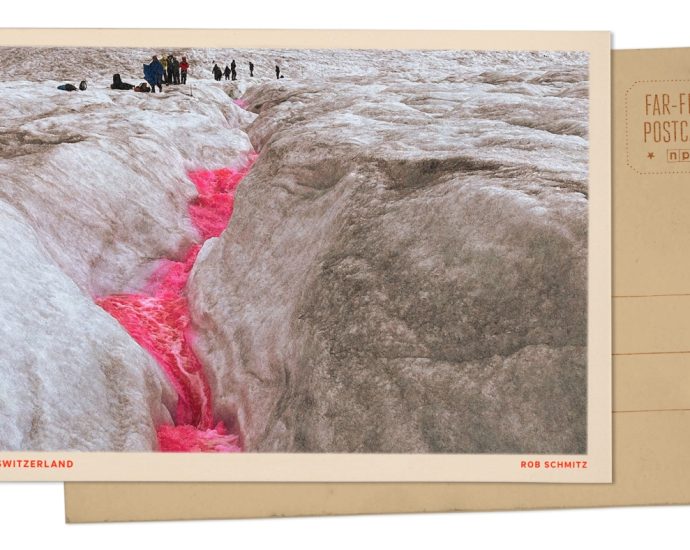 greetings-from-the-rhone-glacier,-where-a-gash-of-pink-highlights-how-it’s-melting