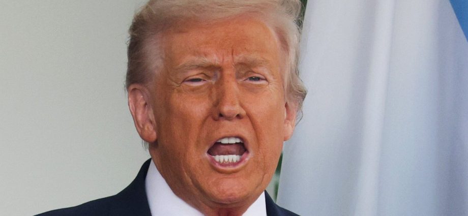 1-of-the-internet’s-most-wholesome-feeds-just-went-scorched-earth-on-the-traitor’s-‘f**king-losers’