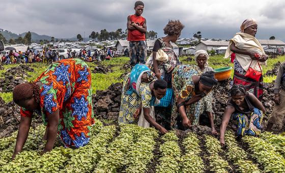 why-are-over-670-million-people-going-hungry?