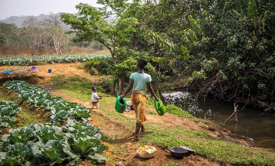 the-‘food-heroes’-cultivating-global-change