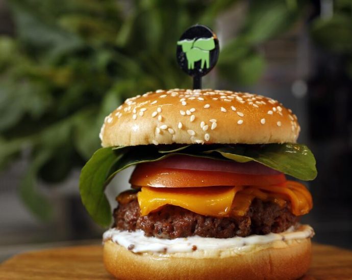 beyond-meat’s-stock-collapses-after-debt-deal