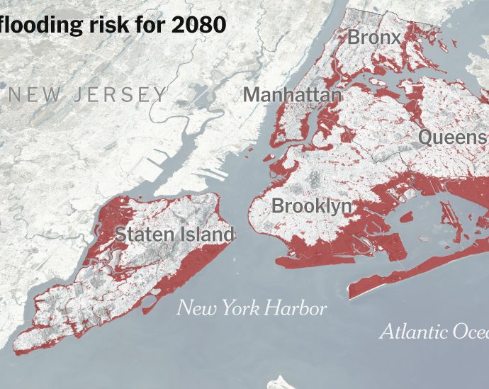 what-new-york-can-do-to-survive-flooding