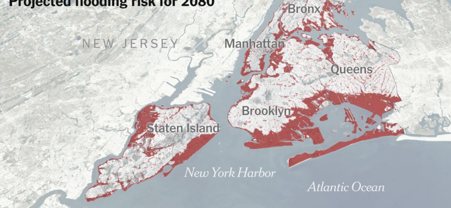 what-new-york-can-do-to-survive-flooding