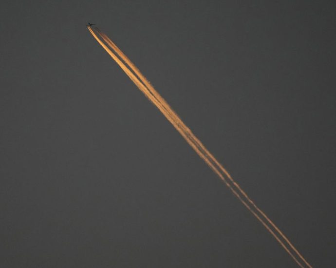 it’s-a-bird!-it’s-a-plane!-it’s-a-chemtrail?
