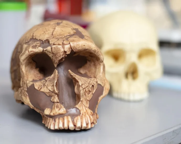 from-poison-to-power:-how-lead-exposure-helped-shape-human-intelligence