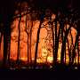 Experts reveal climate change drove extreme wildfire seasons across the Americas, making burned areas much larger