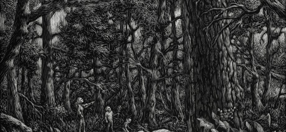 watching-the-oregon-ash-vanish