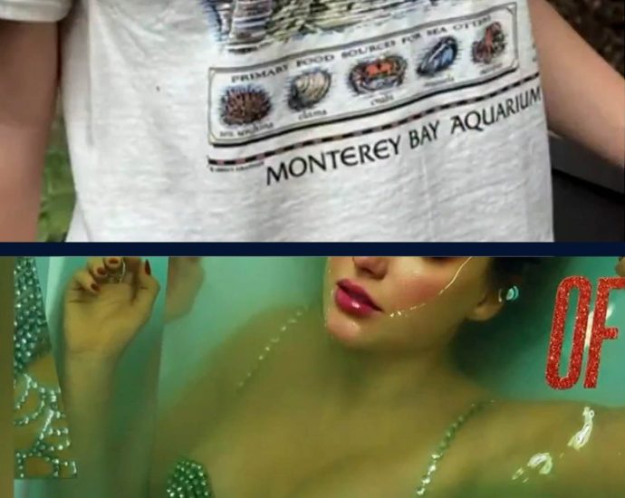 swifties-raise-$2-million-for-monterey-bay-aquarium