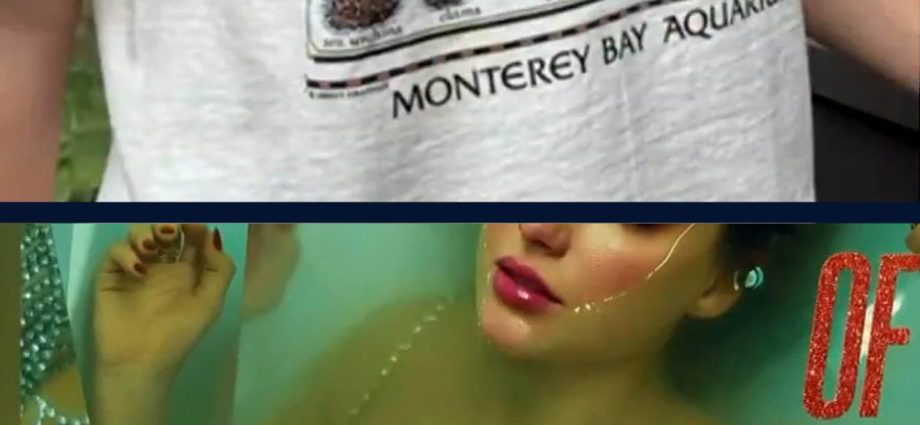 swifties-raise-$2-million-for-monterey-bay-aquarium