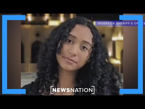 pi:-i-know-who-drove-d4vd’s-tesla-last-before-body-was-found-|-banfield