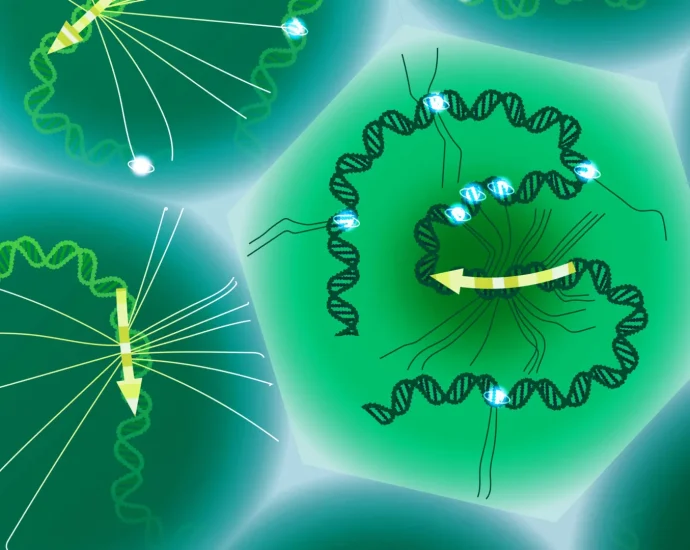 scientists-finally-read-the-hidden-dna-code-that-shapes-disease