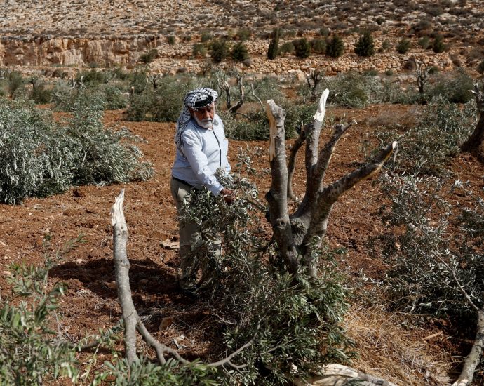 in-the-occupied-west-bank,-the-war-continues