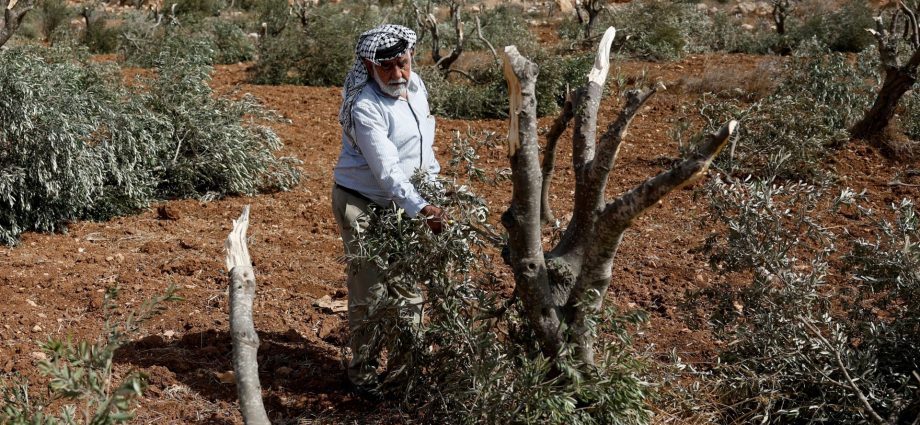 in-the-occupied-west-bank,-the-war-continues