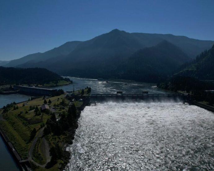 oregon-and-conservationists-ask-court-to-ok-dam-operation-changes-to-help-salmon