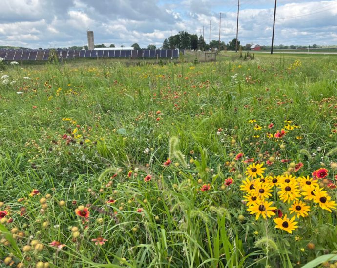 at-a-solar-energy-conference,-the-star-is-…-the-soil?