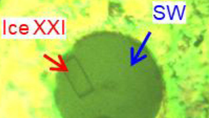 New Form of Ice Discovered: Ice XXI