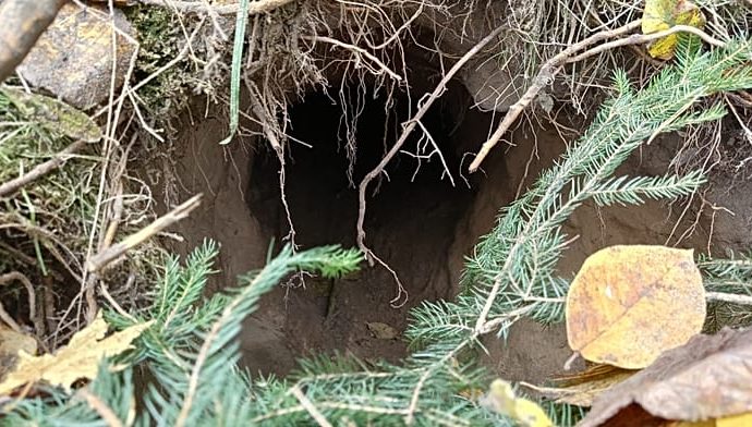 poland-not-an-isolated-case:-what-to-know-about-secret-migrant-tunnel-systems