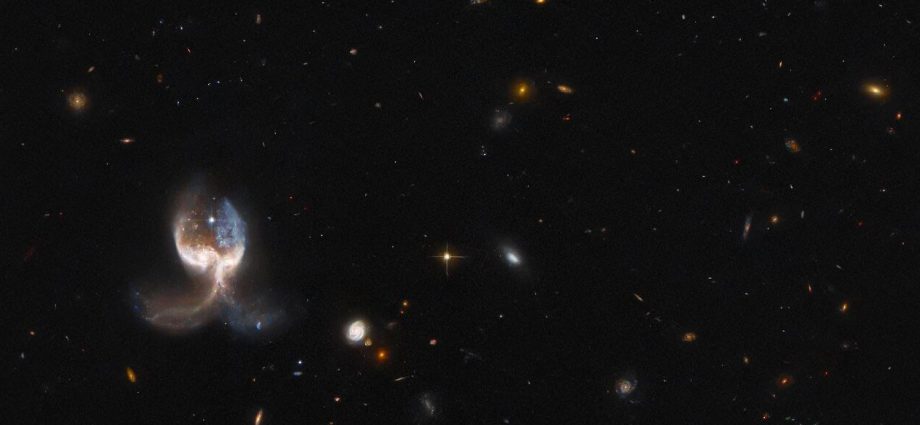 Physicist and author Brian Greene to host 1st Global Space Awards in London