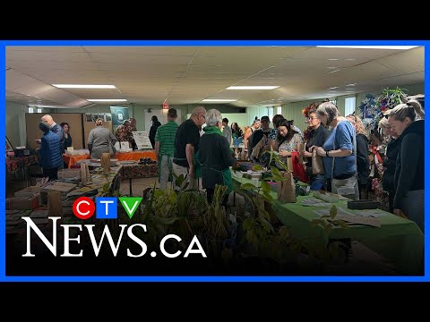 dozens-flock-to-‘seedy-saturday’