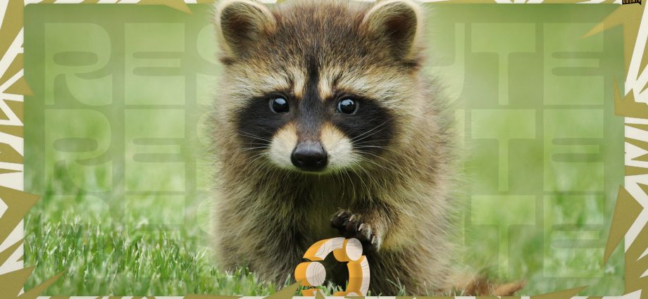 ubuntu-26.04-lts-daily-builds-now-available-for-download