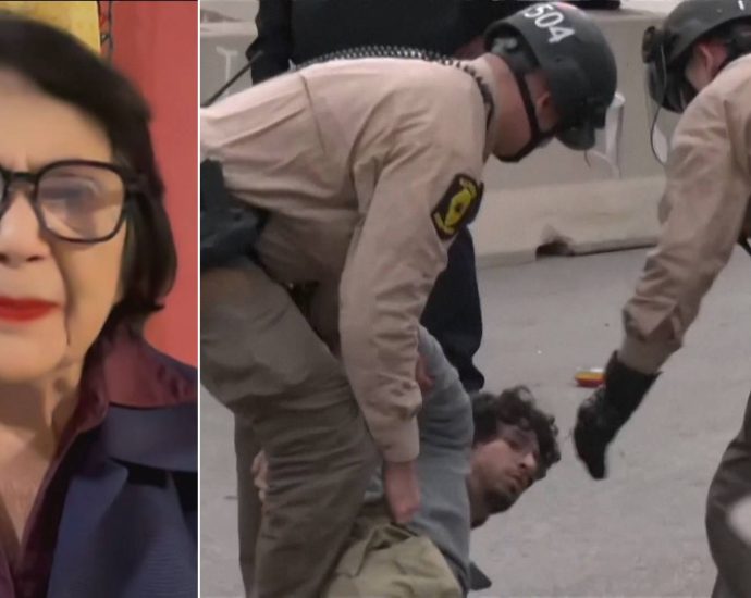 “this-is-ethnic-cleansing”:-civil-rights-icon-dolores-huerta-decries-the-traitor’s-targeting-of-immigrants