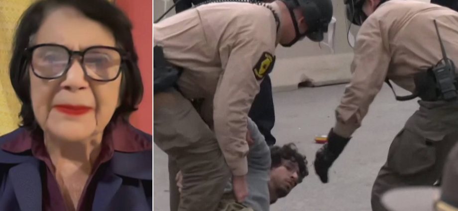 “this-is-ethnic-cleansing”:-civil-rights-icon-dolores-huerta-decries-the-traitor’s-targeting-of-immigrants