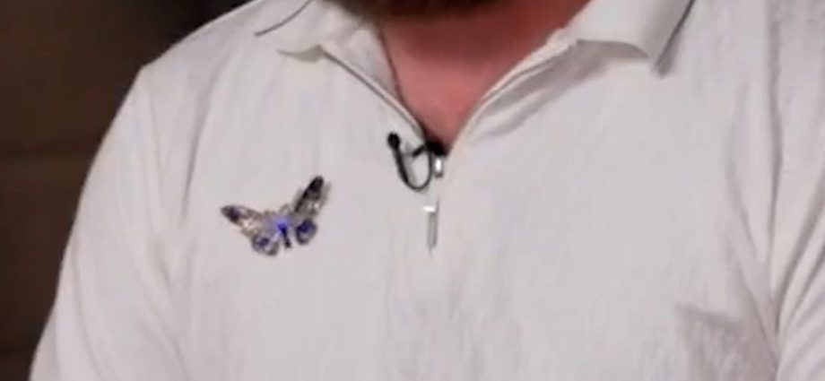 brother-of-epstein-accuser-virginia-giuffre-speaks-out