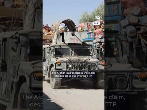 taliban-and-pakistan-agree-to-ceasefire-|-dw-news