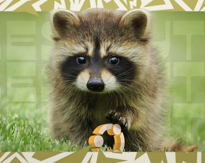 ubuntu-26.04-lts-daily-builds-are-now-available