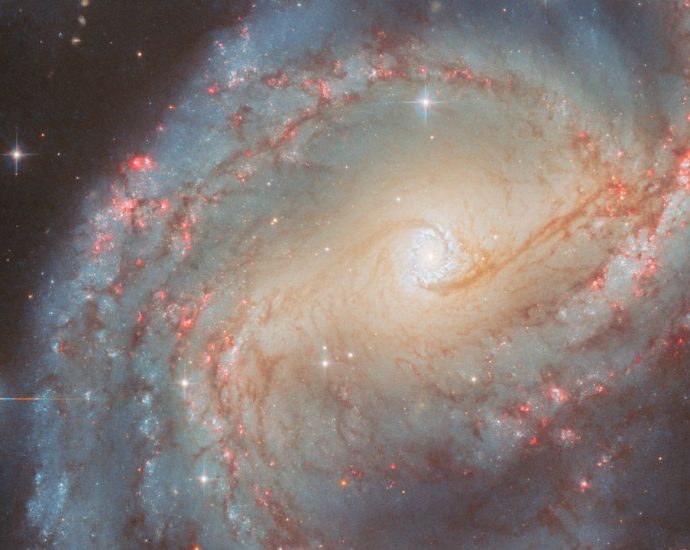 Hubble spies a glowing ‘starburst ring’ | Space photo of the day for Oct. 20, 2025