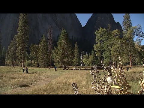 ‘business-as-usual’-for-yosemite-during-us-government-shutdown-|-reuters