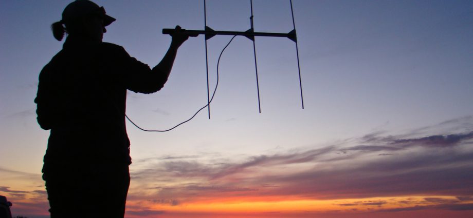 more-than-2,000-jobs-could-be-cut-at-interior-during-shutdown